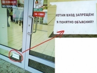 котам.jpg