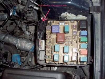 CIMG6209.JPG