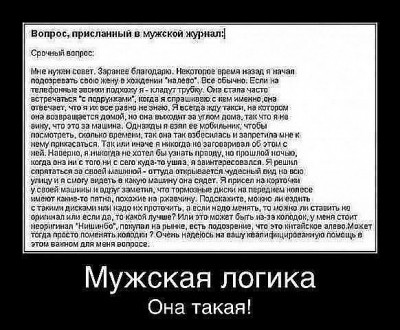 мужская логика, прикол.jpg