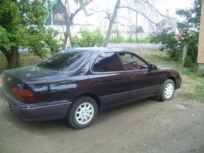 PICT0205b.jpg