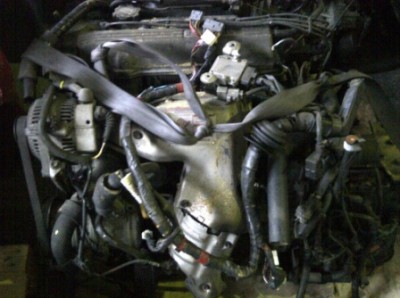 IMG-20130125-00404.jpg