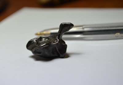 DSC_0183+.jpg