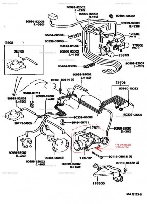 MAG133B.jpg