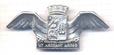 Italie_Carabinieri_UT_Ardeant_Ardeo_SM_b.JPG