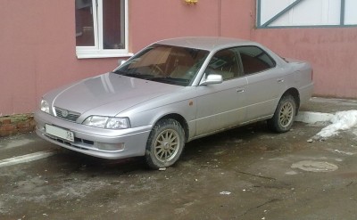 виста.jpg