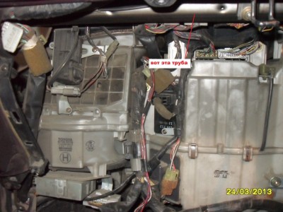 SDC14079.JPG