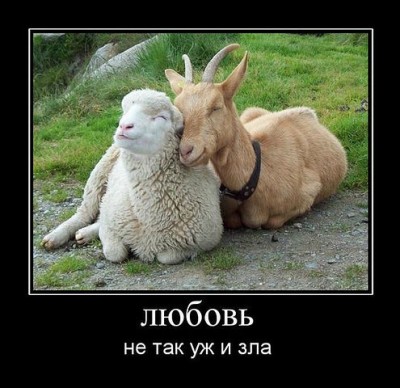 getImage (44).jpg