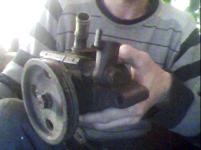 test_3123198406.jpg
