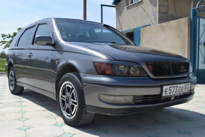 DSC_0030_новый размер.JPG