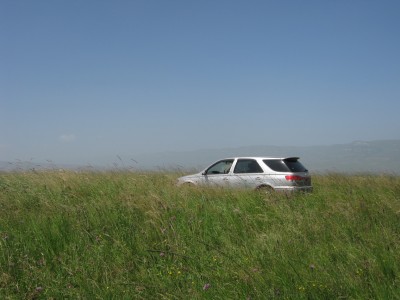 IMG_1446_новый размер.jpg