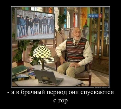 getImage (6).jpg