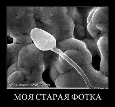 getImage (15).jpg