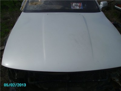 8383fd93de19.jpg