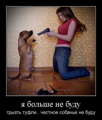 getImage (32).jpg