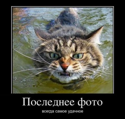 getImage (37).jpg