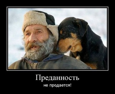 getImage (39).jpg