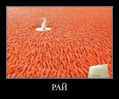 апраер.jpg