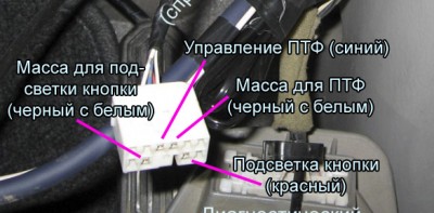 123412414.jpg