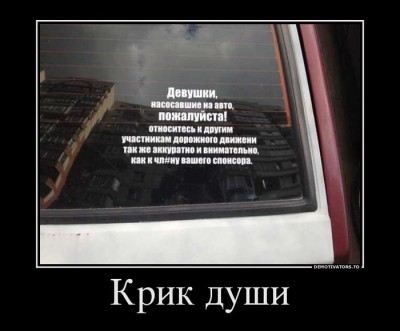 2343916_682a2d54.jpg