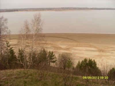 SL373345.JPG