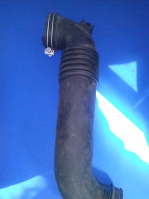 CAM00312.jpg
