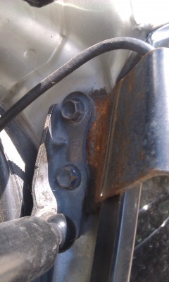 IMAG0359.jpg