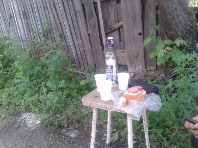 у забора.jpg