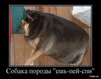 dem010.jpg