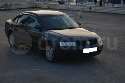 ttn_86328378.jpg
