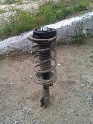IMAG0484.jpg