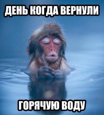01e8ff08411ba2ffd13e74aab36edbbd.jpg