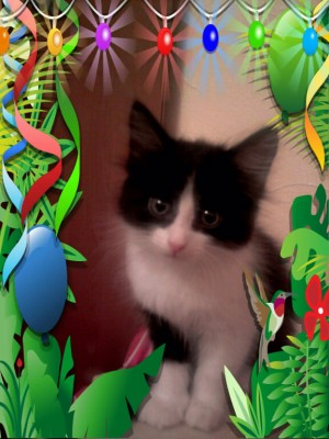 ________2009_001_001_001.jpg