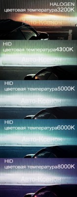 xenon-cvet.jpg