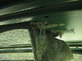 IMGA3072.JPG