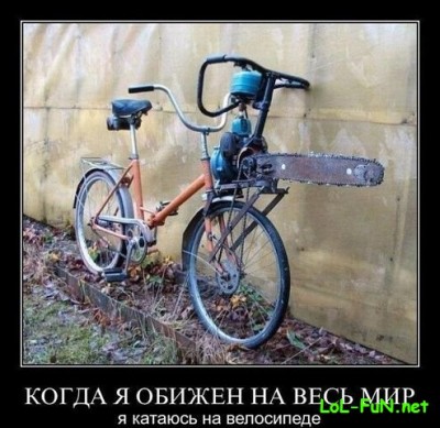 1368990098_getimage76ild.jpeg