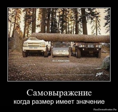 1263126146_demotivator025.jpg