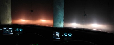 IMG_7041.jpg