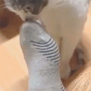 doc98835002_266051543.gif