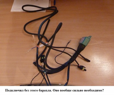 P1110136.JPG