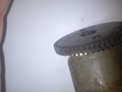 CAM00067.gif
