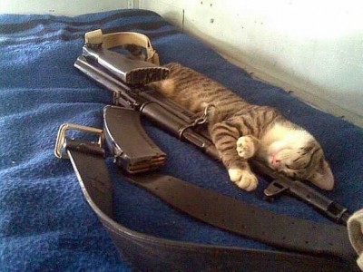 запах хозяина....jpg