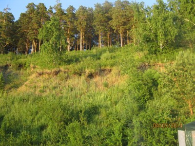 1IMG_3967.JPG