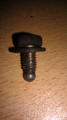 IMAG1337.jpg