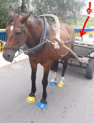 1.С МУЗОНОМ ВЕСЕЛЕЙ....jpg