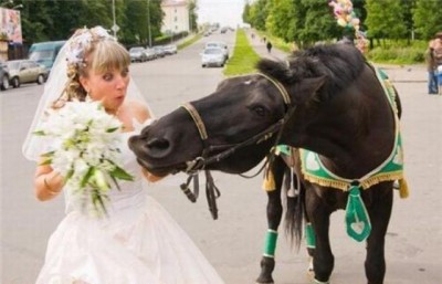 2.САМА ТЫ ЛОШАДЬ!!!.jpg