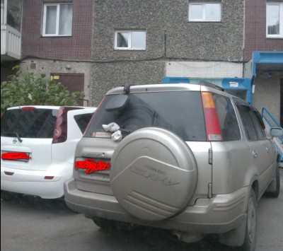 113.jpg