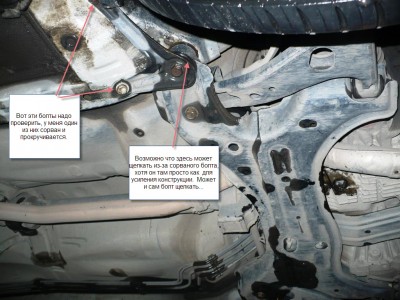 P3.JPG