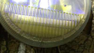 IMAG0545.jpg