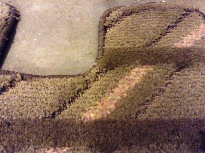 image (1).jpg