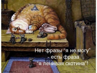 x_dd1541c8.jpg